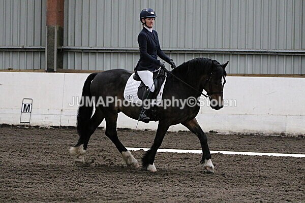 SIAL3873 - CAbin Dressage 5th july 2025