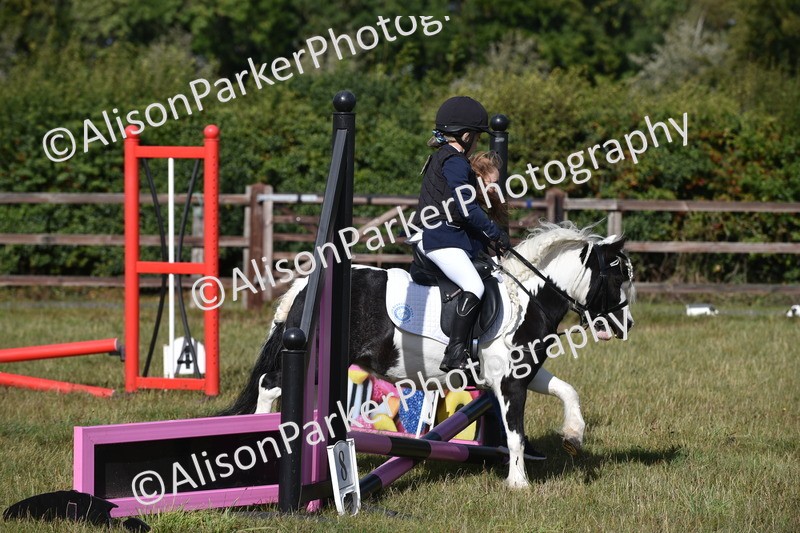 20250831-0383 - Class 6 - Minimus Jumping 30cm