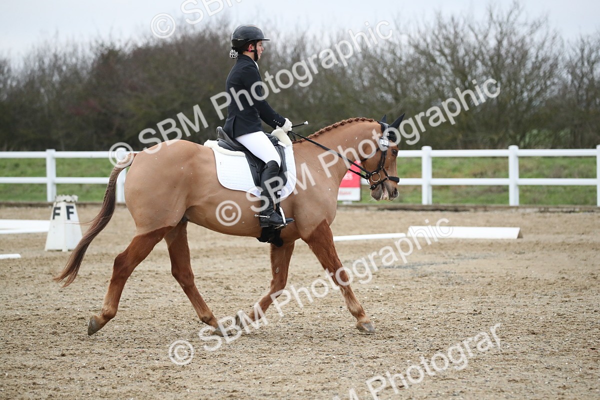 SBM_004789 - Novice 3