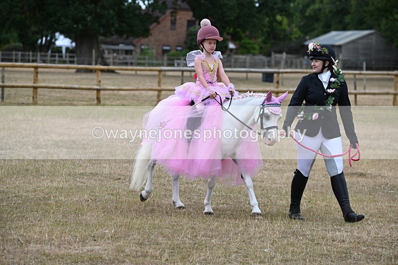 WJ6_8621 - Class 11 Fancy Dress