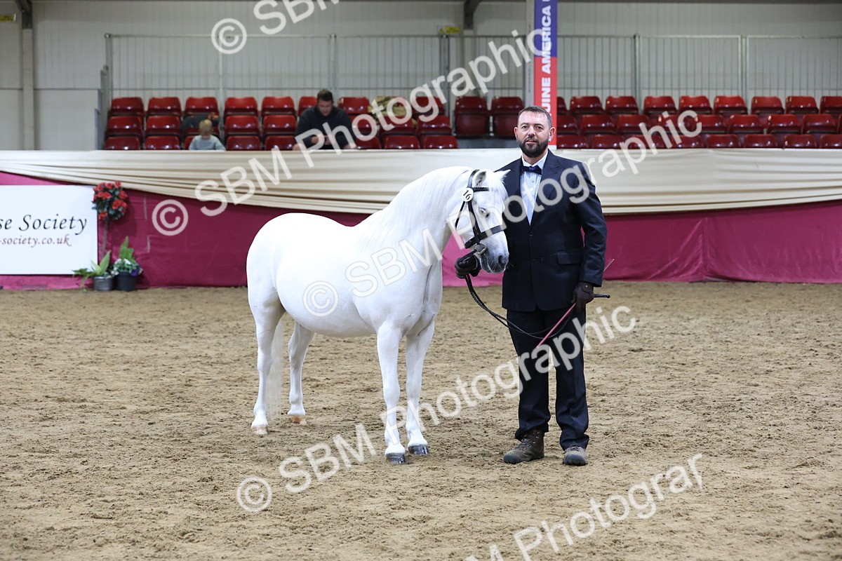 SBM_20375 - Class E - Best Turned Out Champ