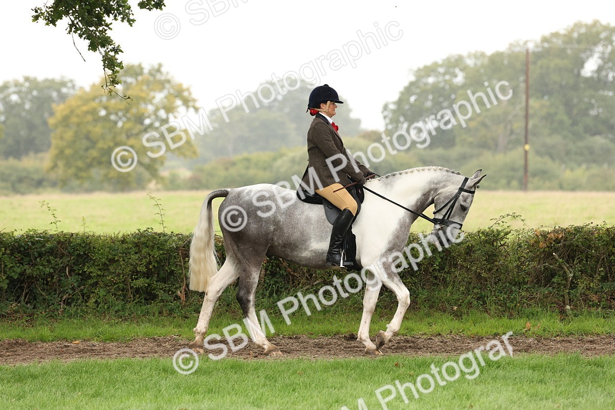 SBM_69876 - S68 - Other Coloured Horse Ridden