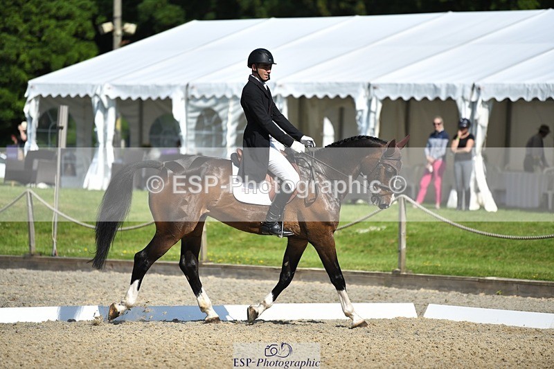 230525-093857-01641 - 307-PENHILLS_CANDY_MAN-Max_Warburton-WEDTrotUp+DR