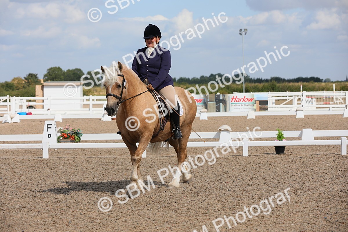 SBM_04030 - Class 31 Prelim 1