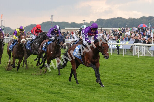 yr09102021r1-42 - Race 1 1.30pm Watch Racing Free Online At Coral Nursery Handicap