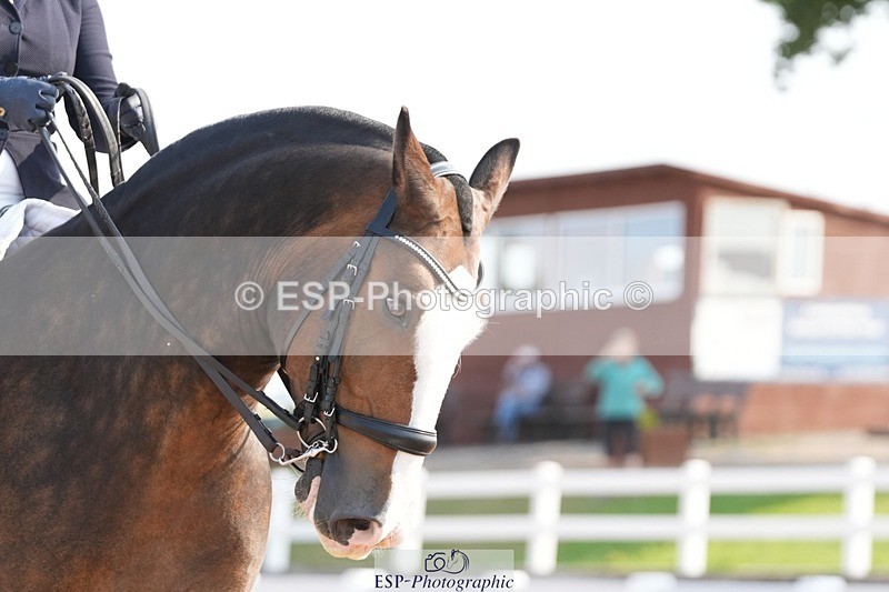 250817-100220-08232 - 134-Abby.HayesRathnagrew.Pride