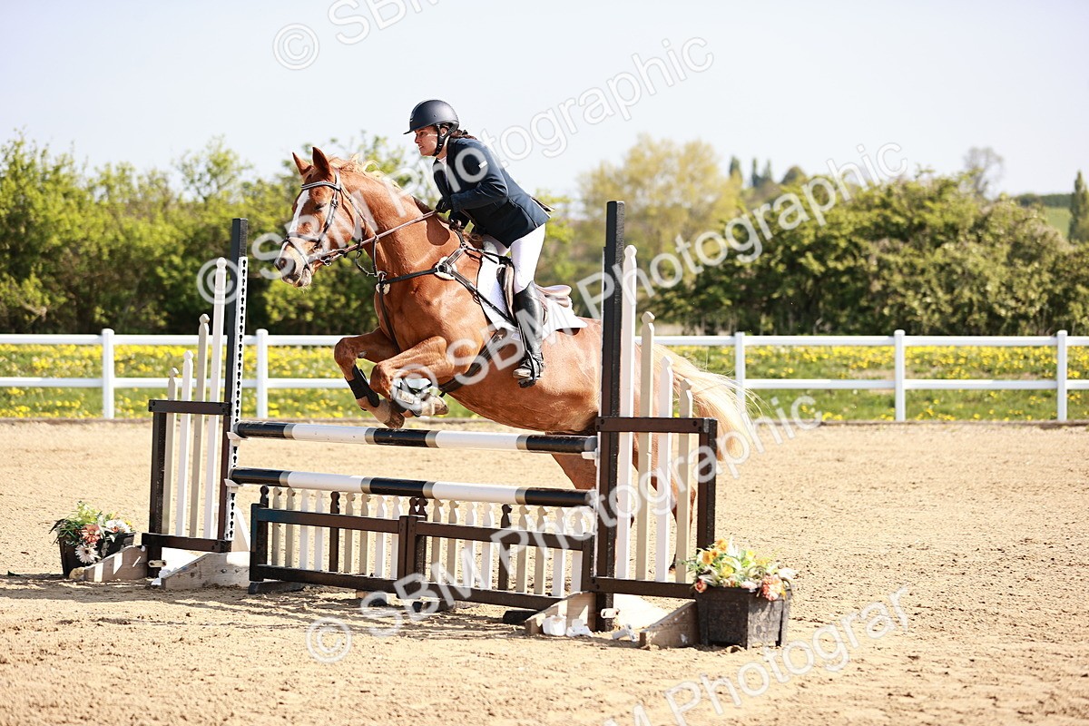  - Class 21 - Senior British Novice - 90cm