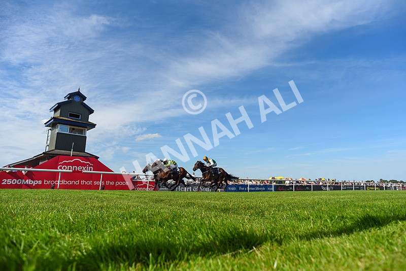 300526-Race 6-Vietnorm-3456 - Race 6 16.32pm ICS Cleaning Services Handicap