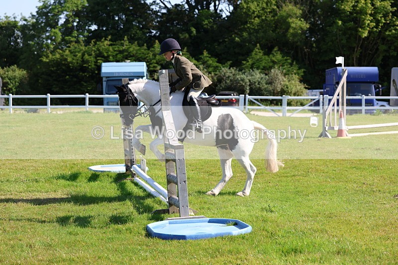 3E7A5888 - Class 27: Novice Working Hunter Pony