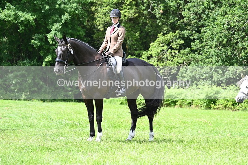 WJ7_1322 - Class 11 Condition & Turnout