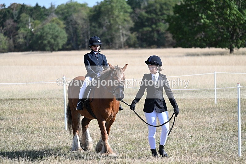WJ7_3081 - Class 8 Ridden Tack & Turnout