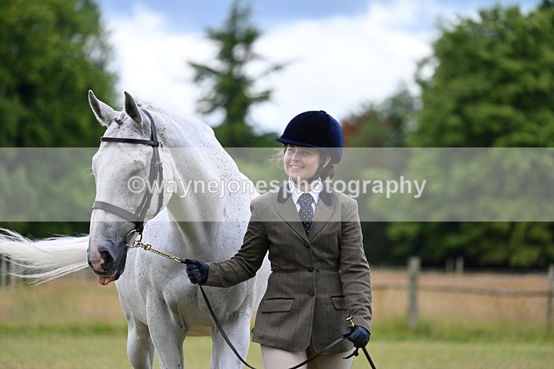 WJ7_6980 - Class 5a Most Handsome Gelding in Hand