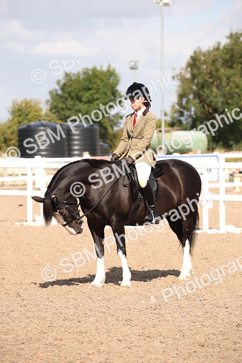 SBM_03030 - Class 17 Prettiest Mare IH or Ridden