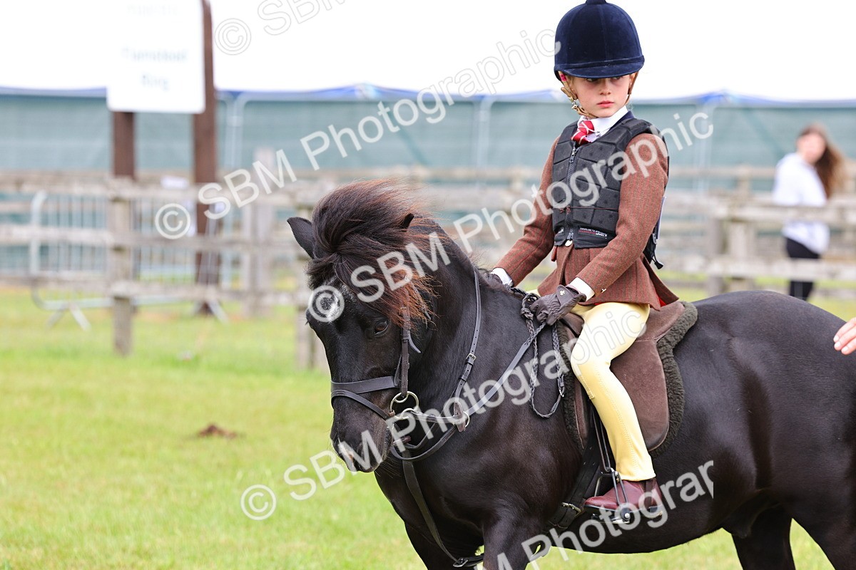 SBM_08664 - Class 42-43 - LIHS BSPS Heritage Working Sports Pony