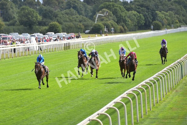 yr17082022r4-82 - Race 4 3.35pm Juddmonte International Stakes (British Champions Series Race)