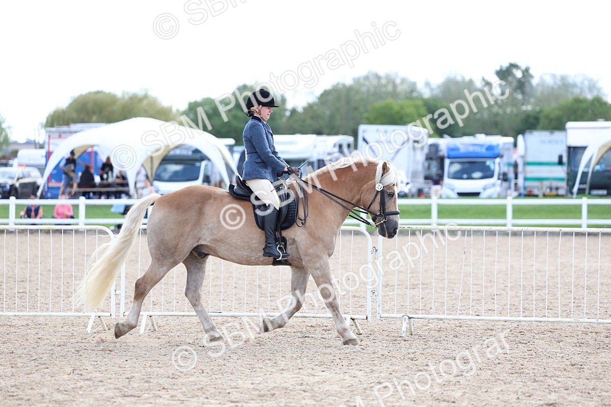 SBM_17073 - Class 315 - Best Horse - Rider Combination