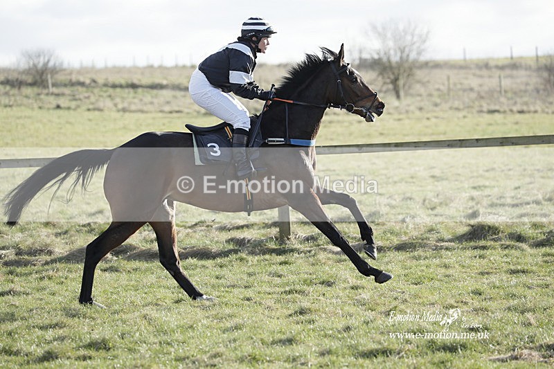 PtP 260223 1140 - South & West Wilts Point-to-Point Larkhill 26/02/23
