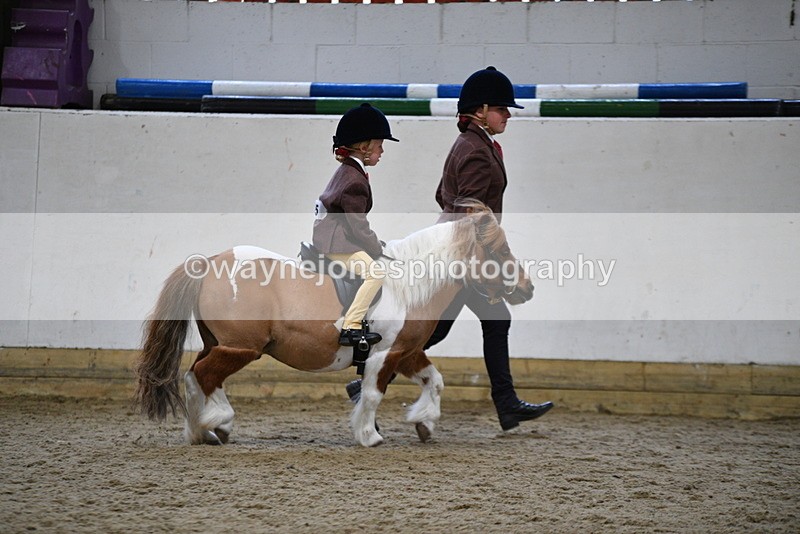 WJ5_6764 - Class 10 Childs Pony