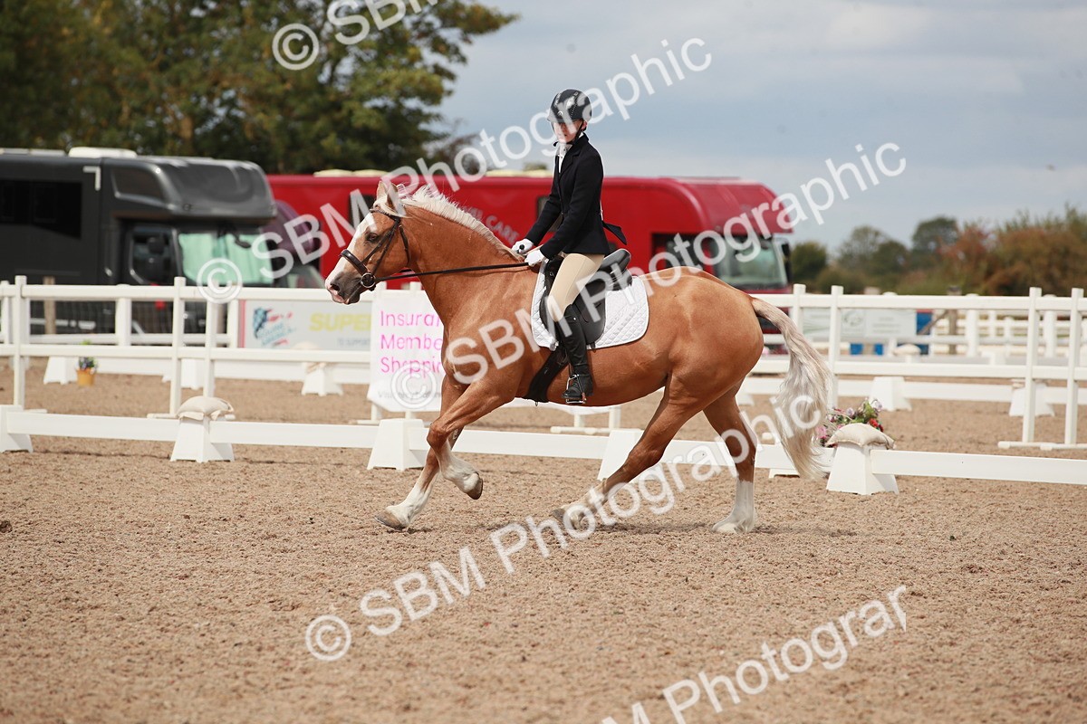 SBM_05900 - Class 32 - Novice 1
