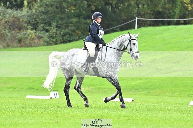 241024-115155-02507 - 510-Kathryn.Virjee-BROWNSTOWNS.SEAWATCH