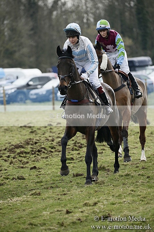 PtP 110318 425 - Hampshire Hunt Point-to-Point Hackwood Park 11/03/18