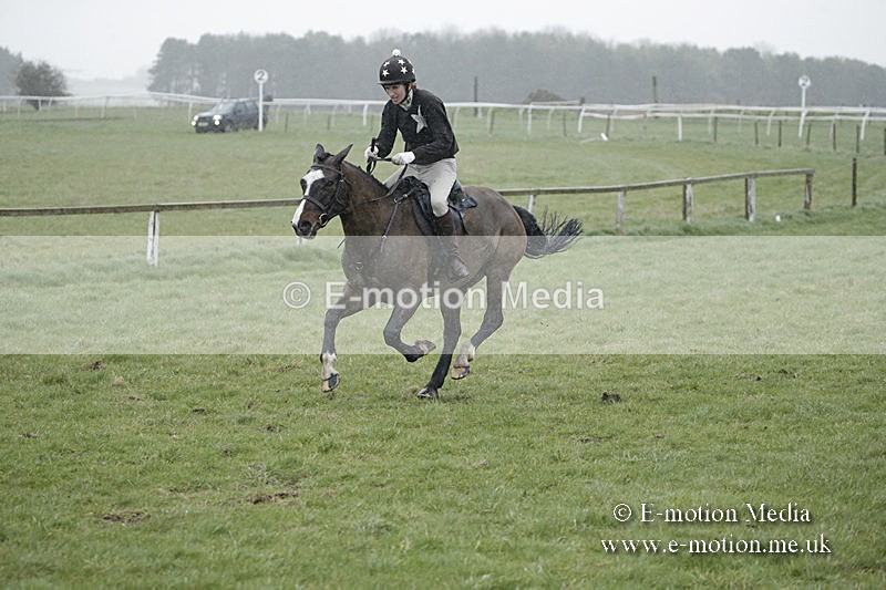 PtP 150320 0053 - New Forest Point-to-Point Larkhill 15/03/20