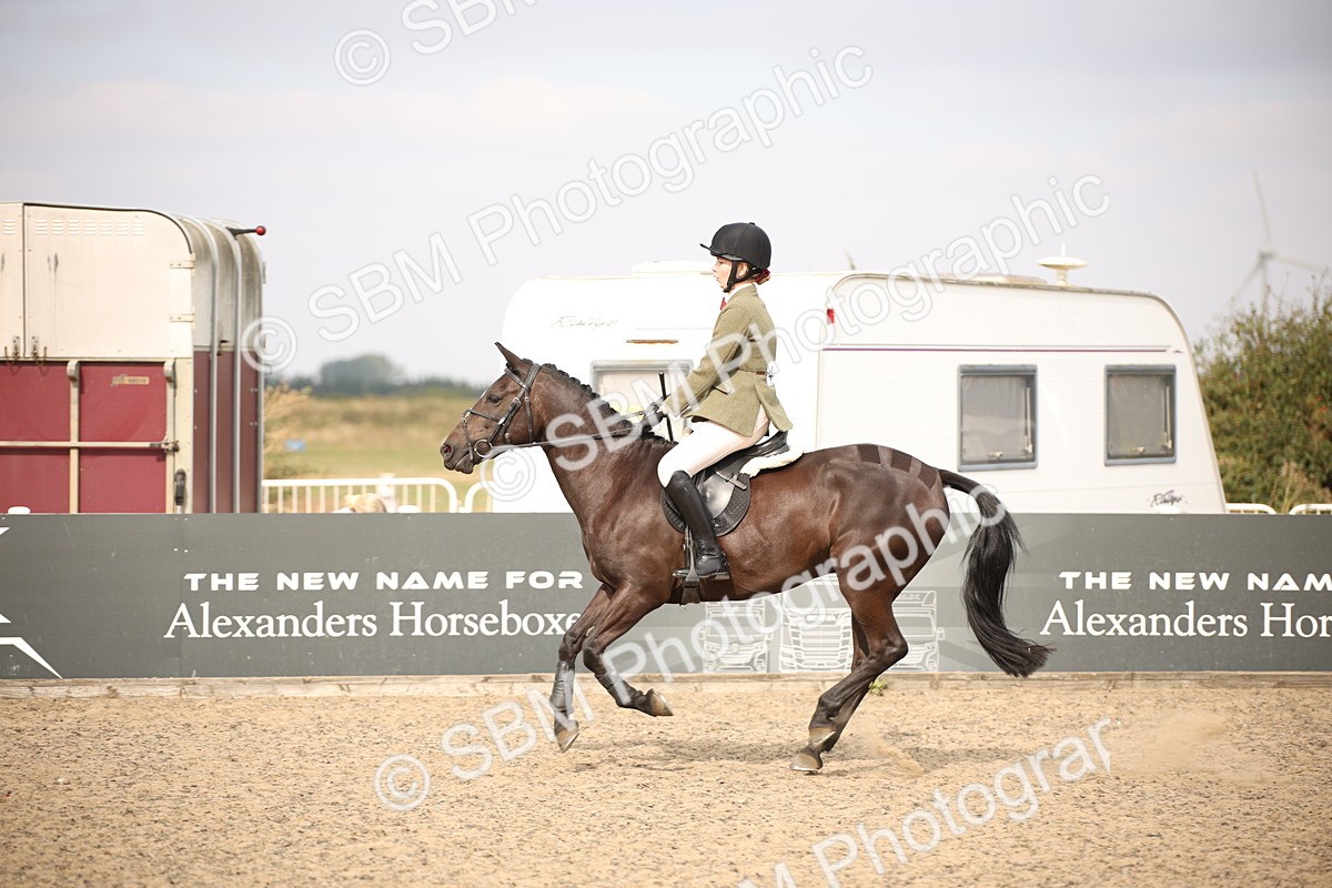 SBM_16212 - Class 409a - Working Veteran 80cm (15-19)