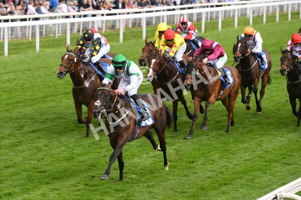 yr22052022r4-18 - Race 4: 5:05pm Sky Bet Sunday Mile