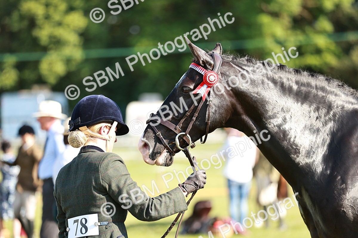 SBM_19271 - Class 115-116 - LIHS BSHA Rising Star Working Hunter & Show Horse