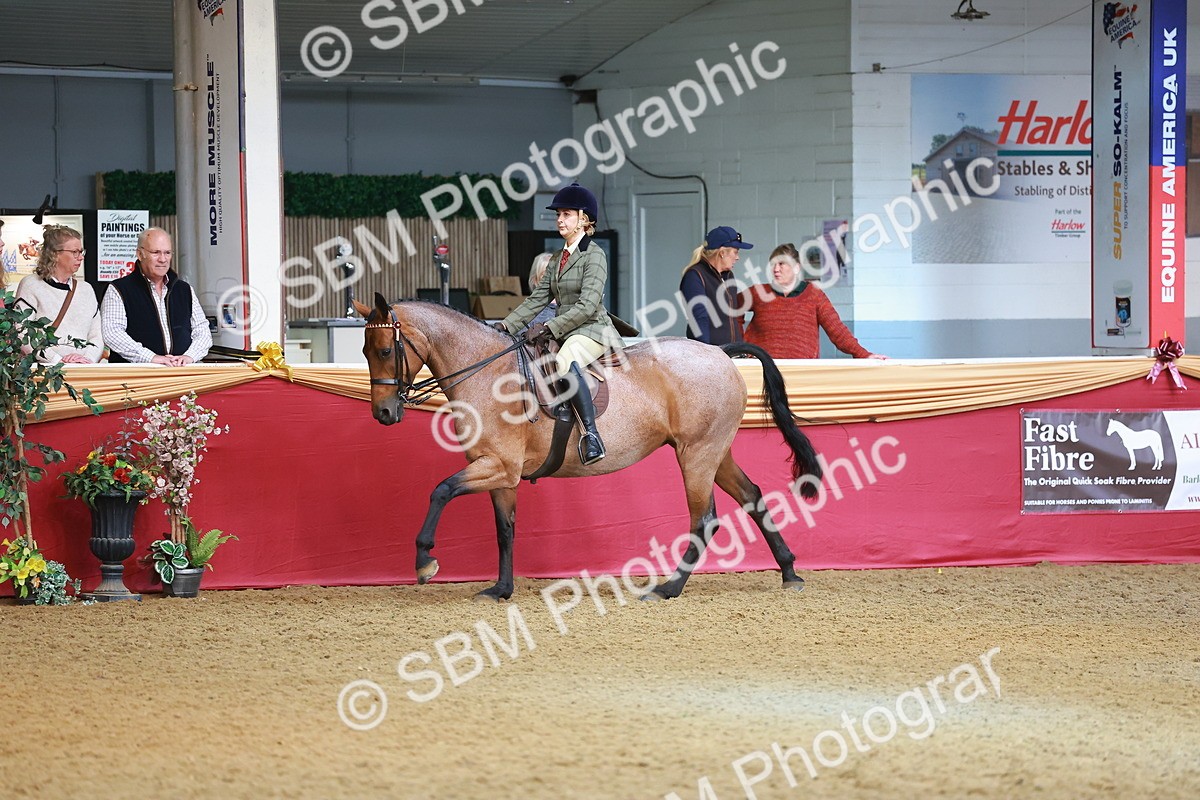 SBM_09528 - Class 102 - HOYS Veteran Qualifier - Ridden Veteran