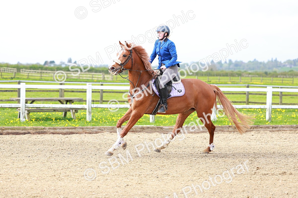 SBM_001692 - Class 7 - Clear Round
