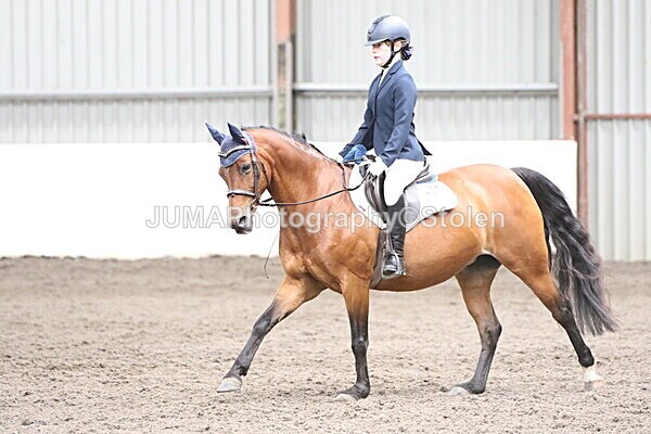 SIAL4977 - CAbin Dressage 5th july 2025
