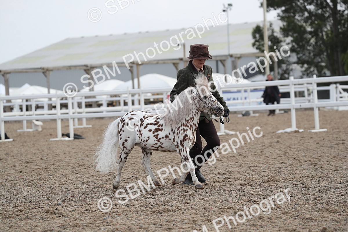 SBM_23128 - Class 605 - 2025 Area - IH Veteran