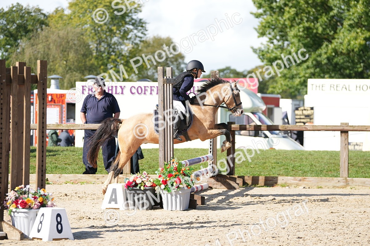 SBM_38370 - J6 - Junior Pony 55cm Championship