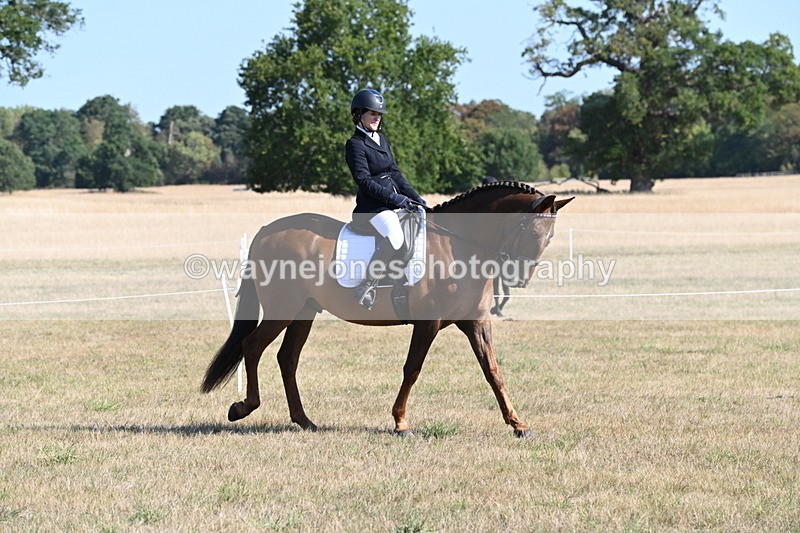 WJ6_7193 - Class 33 Rescue Pony