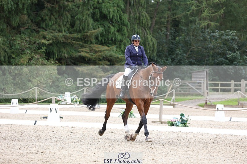 230812-120631-03930 - Cls 5 Novice Bronze 11.15 to 12.50 break