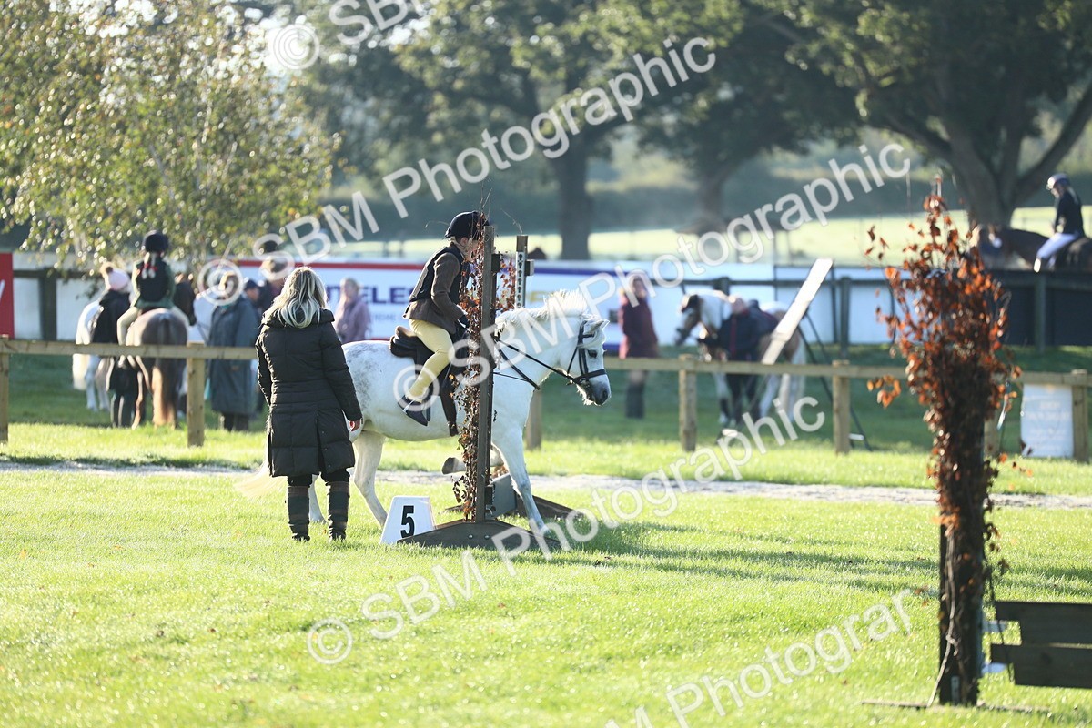 SBM_37200 - S29 - Novice & Newcomers Working Hunter Pony