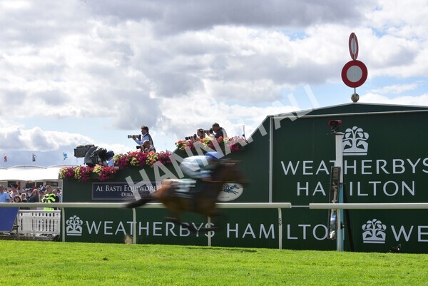 yr19082022r2-30 - Race 2 2.25pm Weatherbys Hamilton Lonsdale Cup (British Champions Series Race)