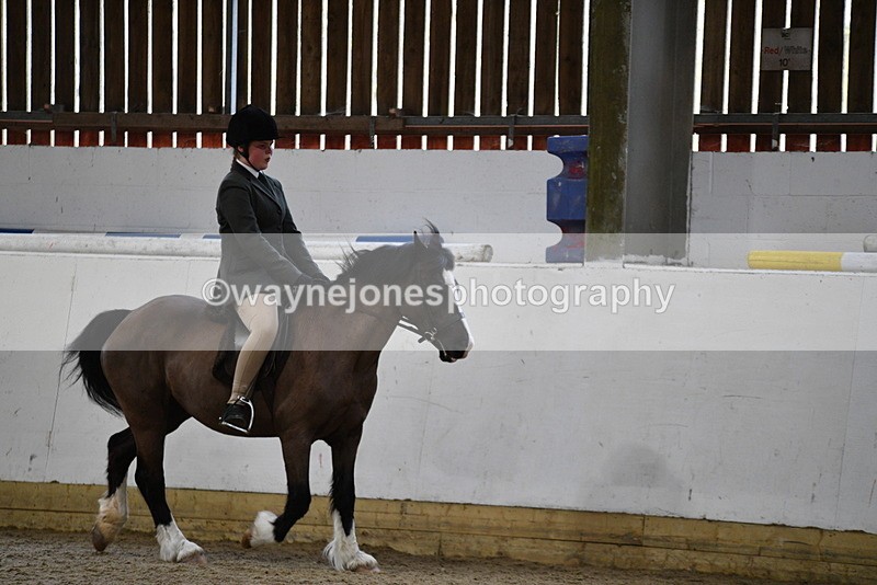 WJ5_7237 - Class 11 Ridden PC - RC Pony