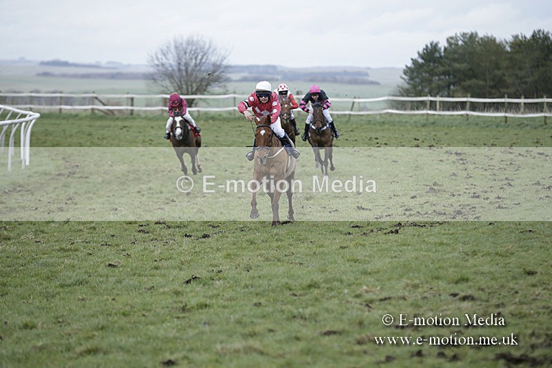 PtP 150320 0842 - New Forest Point-to-Point Larkhill 15/03/20