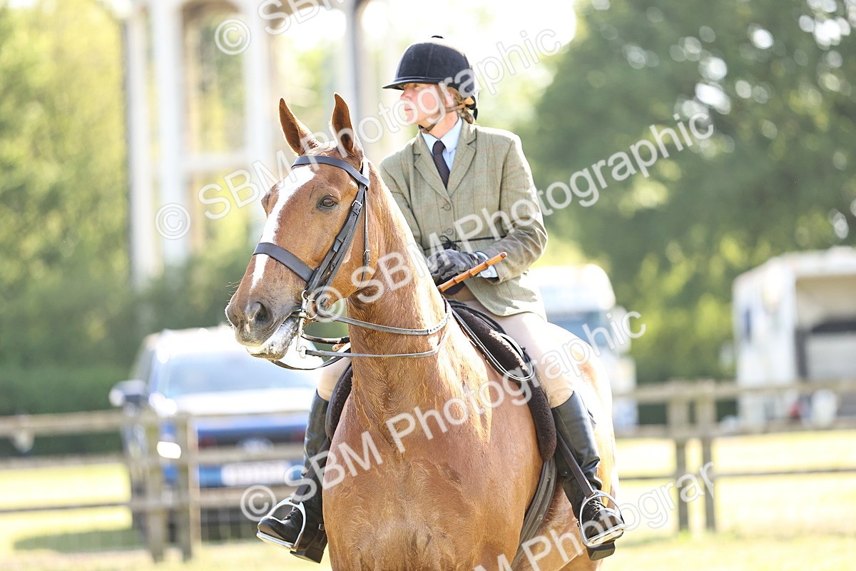 SBM_19699 - Class 87-88 - RIHS BSHA Riding Horses