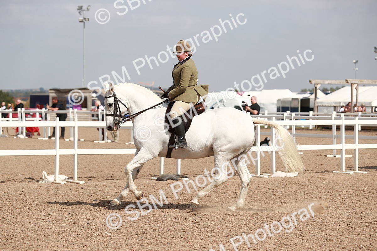 SBM_14862 - Class 212 Ridden Hunter - Small