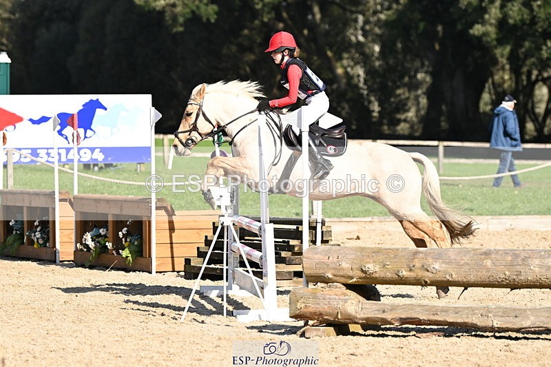 250302A-120354-01795 - Cls 02 80-85cm