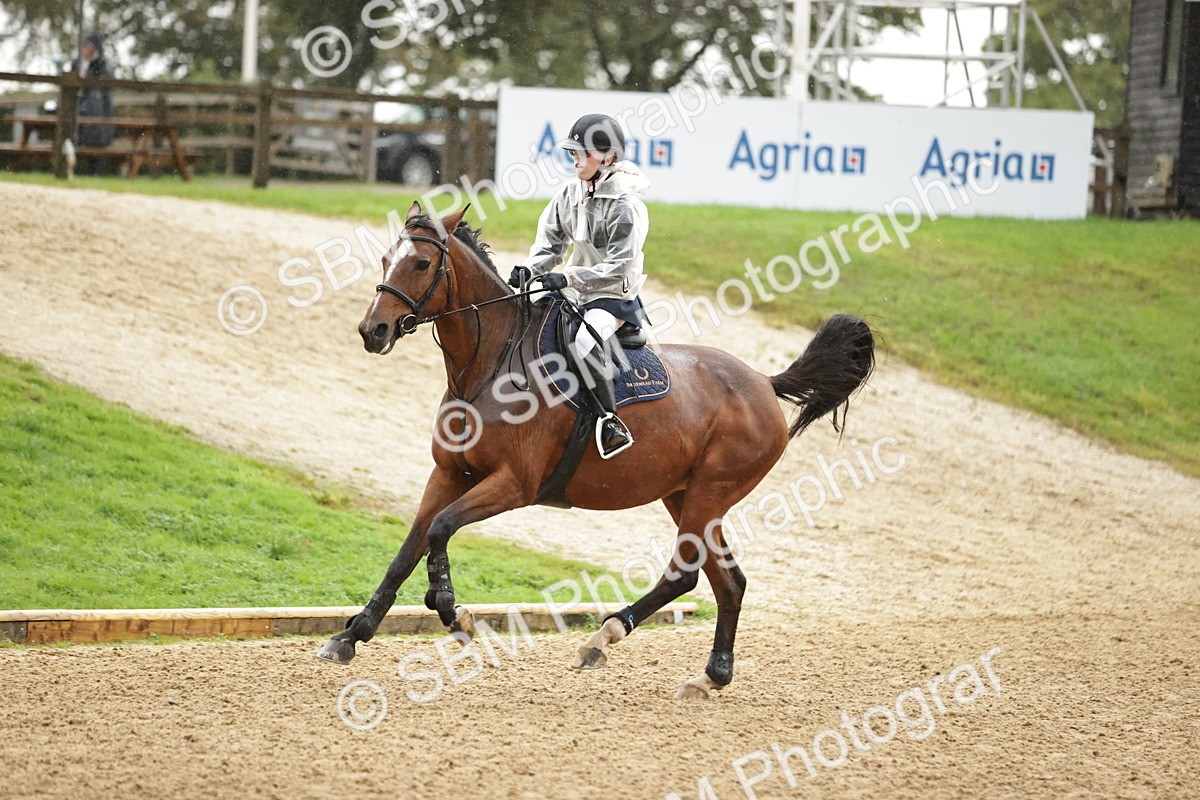 SBM_33123 - J38 - Senior Horse & Pony 80cm Championship