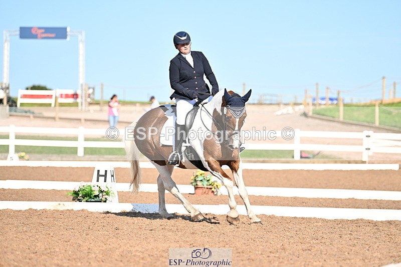 240816A-165109-06291 - 307-Rachel.Cook-Tiger.lily.vi