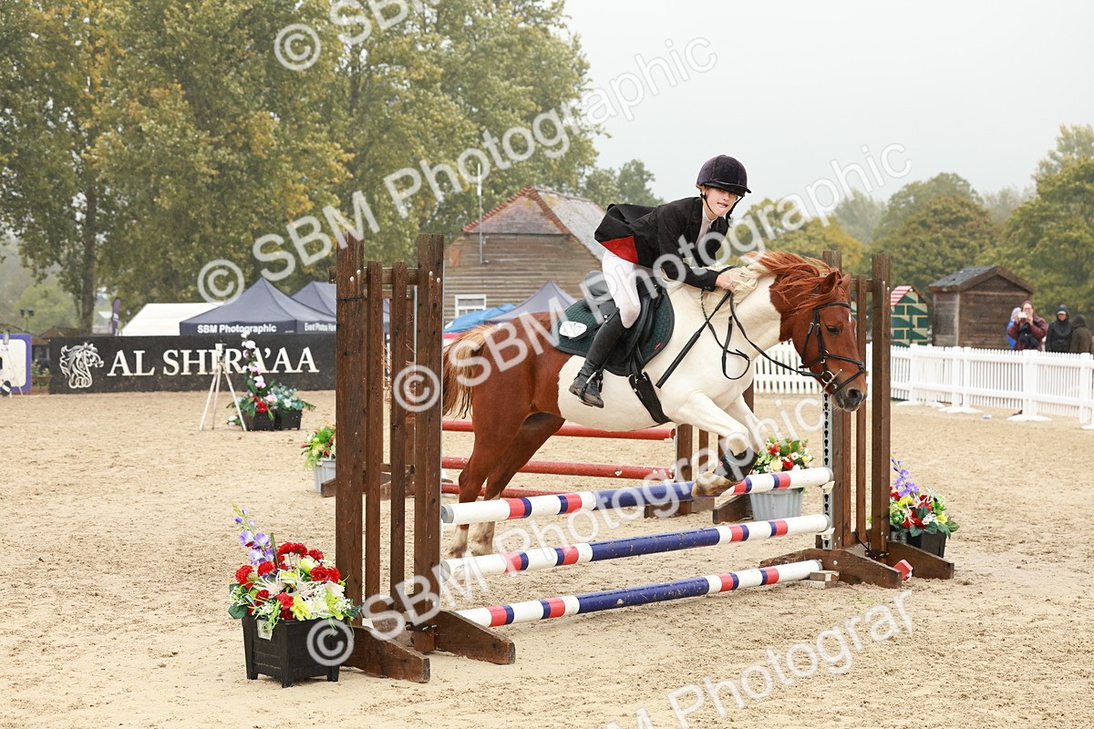 SBM_71381 - J14 - Junior Pony 65cm Championship
