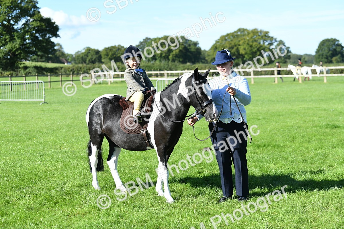 SBM_36986 - S18 - Novice & Newcomers Lead Rein Pony