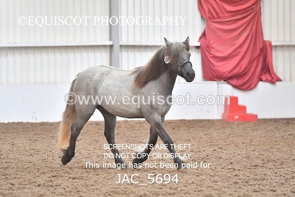 JAC_5694 - 6 Glenmuir Niamh