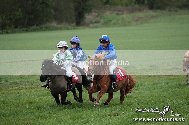 SHETPR 210425 181 - Shetland Ponies Paxford Races 21/04/25