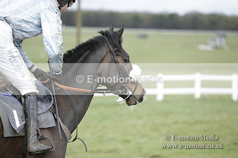 PtP 150320 0462 - New Forest Point-to-Point Larkhill 15/03/20